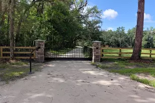 14810 NW 185th St, Williston, FL 32696 - Photo 26