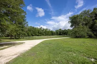 14810 NW 185th St, Williston, FL 32696 - Photo 66