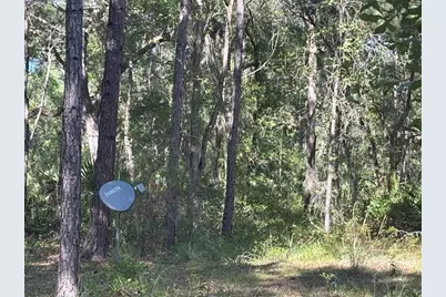 10415 NE 142nd Place, Fort Mc Coy, FL 32134 - Photo 20