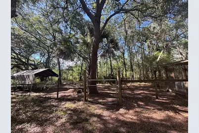 10415 NE 142nd Place, Fort Mc Coy, FL 32134 - Photo 4