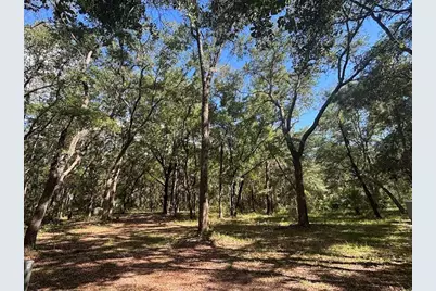 10415 NE 142nd Place, Fort Mc Coy, FL 32134 - Photo 12
