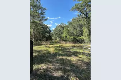 10415 NE 142nd Place, Fort Mc Coy, FL 32134 - Photo 6