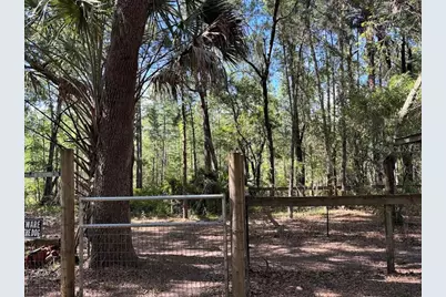 10415 NE 142nd Place, Fort Mc Coy, FL 32134 - Photo 8