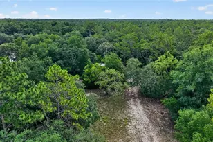 4001 SW 189th Ave, Dunnellon, FL 34432 - Photo 12
