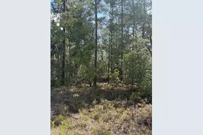 Tba Redwing Road, Dunnellon, FL 34431 - Photo 2