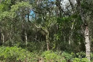 Tba SW Winding Hills Rd, Dunnellon, FL 34431 - Photo 1