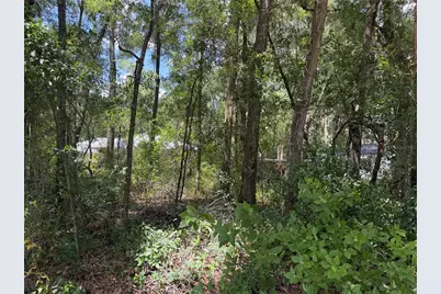Tbd SW 76th Avenue, Ocala, FL 34476 - Photo 2