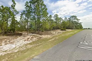 6770 N Pavilion Loop, Citrus Springs, FL 34433 - Photo 1