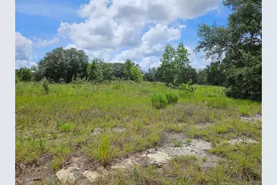 3814 W Rancetta Street, Dunnellon, FL 34433 - Photo 6