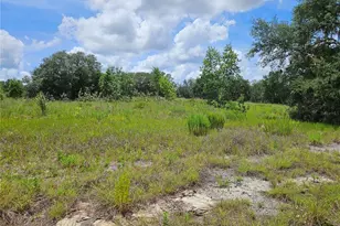 3814 W Rancetta St, Dunnellon, FL 34433 - Photo 6