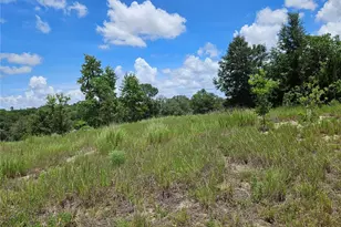 3814 W Rancetta St, Dunnellon, FL 34433 - Photo 4