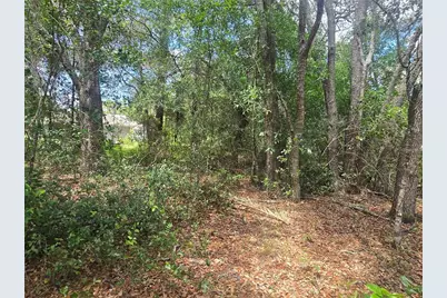 8467 N Empire Avenue, Citrus Springs, FL 34433 - Photo 6