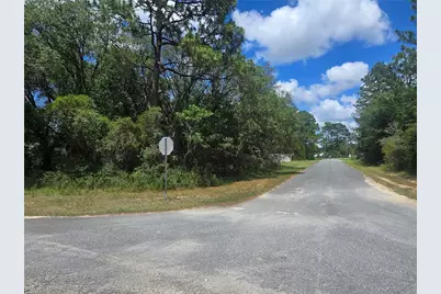 8467 N Empire Avenue, Citrus Springs, FL 34433 - Photo 2