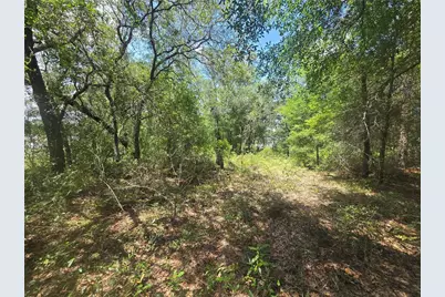 8365 N Ibsen Drive, Citrus Springs, FL 34433 - Photo 10