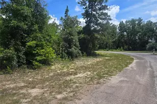 8365 N Ibsen Dr, Citrus Springs, FL 34433 - Photo 1