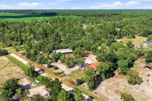 2251 SE 136 Ave, Morriston, FL 32668 - Photo 46