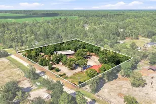 2251 SE 136 Ave, Morriston, FL 32668 - Photo 2