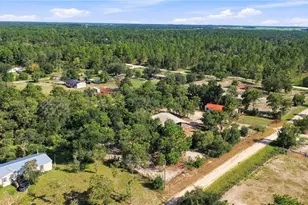 2251 SE 136 Ave, Morriston, FL 32668 - Photo 50