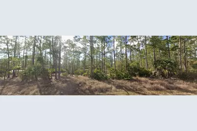 1303 Glenn Avenue, Lehigh Acres, FL 33972 - Photo 2