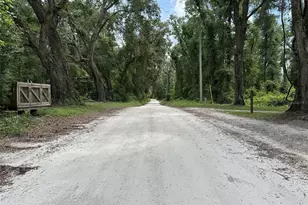 367 SW Kinard Ct, Fort White, FL 32038 - Photo 4
