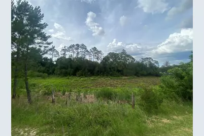 18385 SE 18th Street Road, Silver Springs, FL 34488 - Photo 16