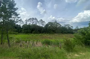 18385 SE 18th Street Rd, Silver Springs, FL 34488 - Photo 16