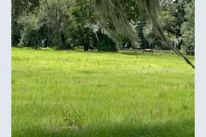 14854 NE Jacksonville Road, Citra, FL 32113 - Photo 4