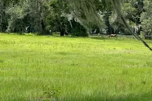 14854 NE Jacksonville Rd, Citra, FL 32113 - Photo 4