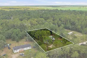 2290 SE 141 Ave, Morriston, FL 32668 - Photo 30
