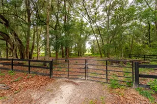 2735 NE 127th Pl, Anthony, FL 32617 - Photo 56