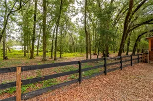 2735 NE 127th Pl, Anthony, FL 32617 - Photo 54