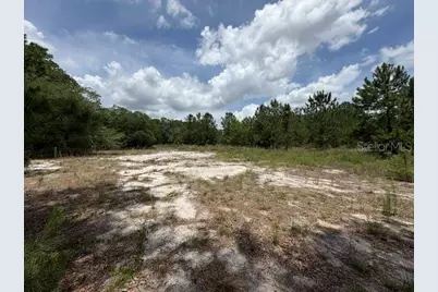 2793 W Waycormon Court, Dunnellon, FL 34433 - Photo 10