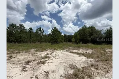 2793 W Waycormon Court, Dunnellon, FL 34433 - Photo 12