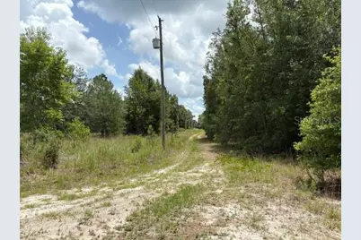 2793 W Waycormon Court, Dunnellon, FL 34433 - Photo 4