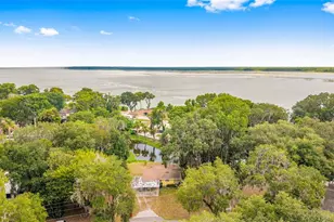 2345 Co Rd 453, Lake Panasoffkee, FL 33538 - Photo 4