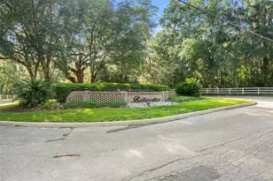 994 SW 37th Place Rd, Ocala, FL 34471 - Photo 60