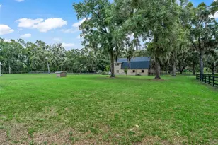 12941 SW 8th Ave, Ocala, FL 34473 - Photo 18