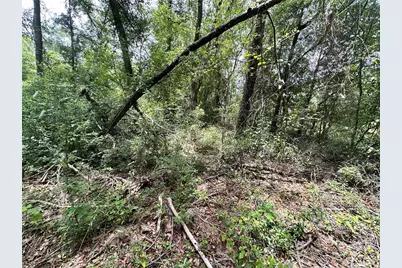 County Road 349 N., O'Brien, FL 32071 - Photo 8