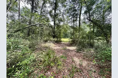 County Road 349 N., O'Brien, FL 32071 - Photo 4