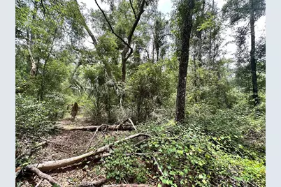 County Road 349 N., O'Brien, FL 32071 - Photo 10