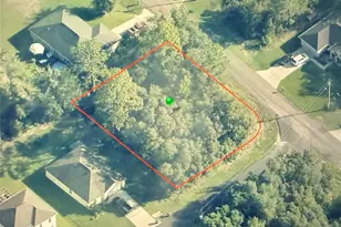 3115 W Babcock Pl, Citrus Springs, FL 34433 - Photo 1