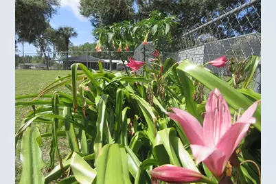 2300 SE 173rd Avenue, Silver Springs, FL 34488 - Photo 16