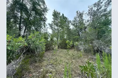 9191 NE 80th Street, Bronson, FL 32621 - Photo 8