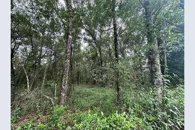 Tbd NE 65th Lane, Bronson, FL 32621 - Photo 6