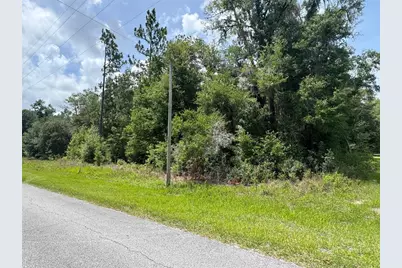 Tbd SW 59th Lane, Dunnellon, FL 34431 - Photo 2