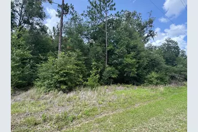 Tbd SW 59th Lane, Dunnellon, FL 34431 - Photo 4