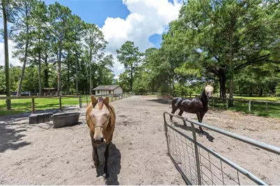 16353 NW 130 Street, Williston, FL 32696 - Photo 42