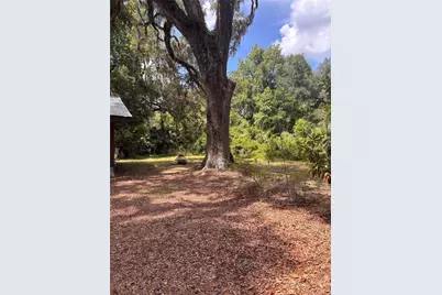 3301 NE 162nd Street, Citra, FL 32113 - Photo 6