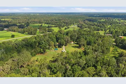 17900 NW 120th Avenue Road, Reddick, FL 32686 - Photo 4