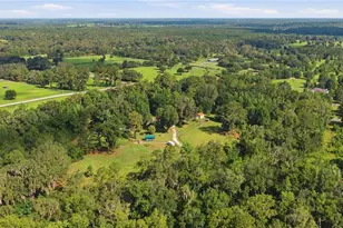17900 NW 120th Ave Rd, Reddick, FL 32686 - Photo 4